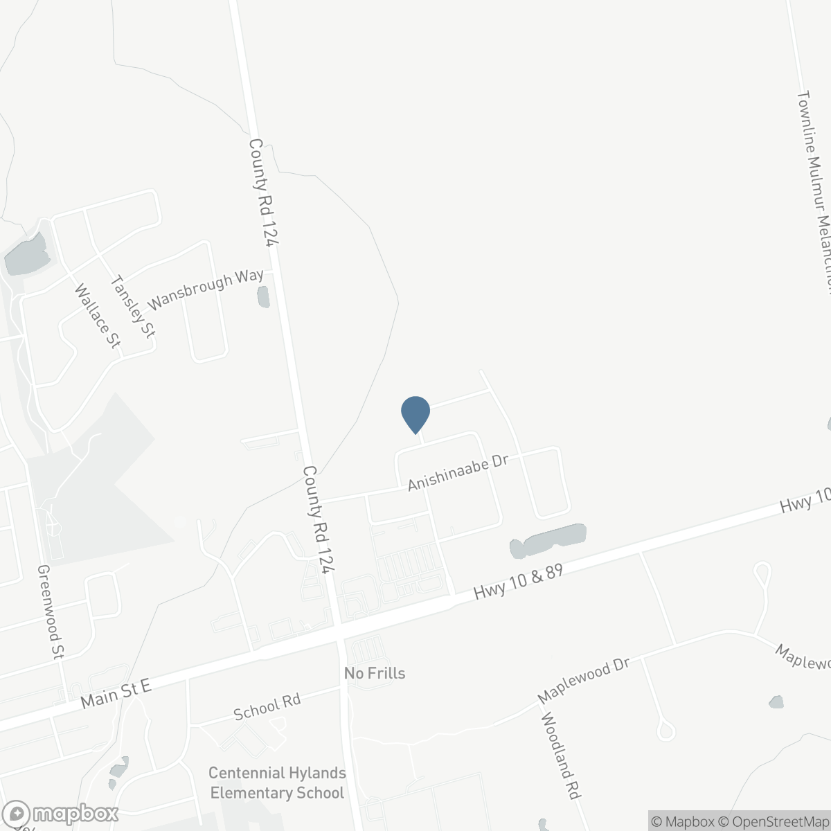 226 CHIPPEWA AVENUE, Shelburne, Ontario L9V 2S7
